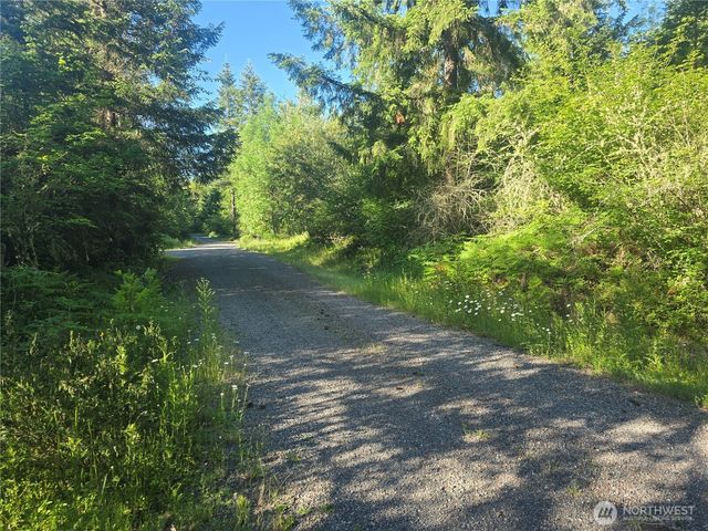 13811 Starflower Lane SE, Yelm, WA 98597