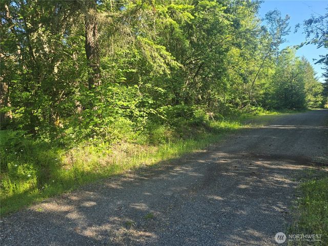 13811 Starflower Lane SE, Yelm, WA 98597