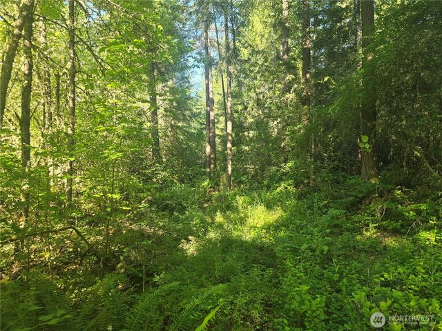 13811 Starflower Lane SE, Yelm, WA 98597