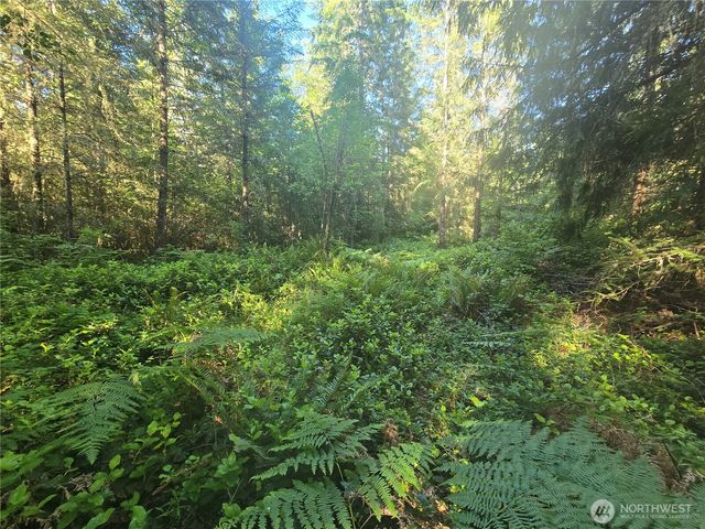 13811 Starflower Lane SE, Yelm, WA 98597