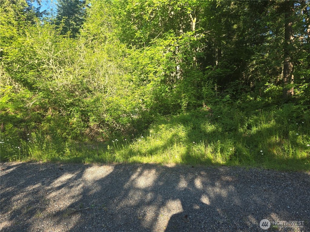 13811 Starflower Lane SE, Yelm, WA 98597