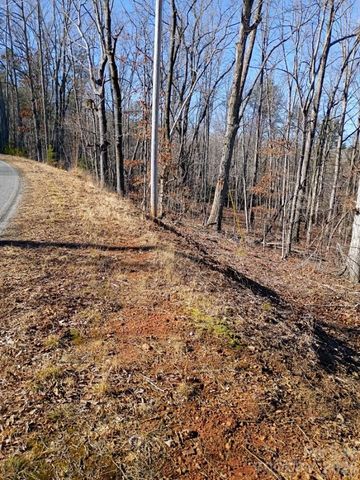 00 County Line Road S, Rutherfordton, NC 28139