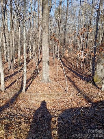 00 County Line Road S, Rutherfordton, NC 28139