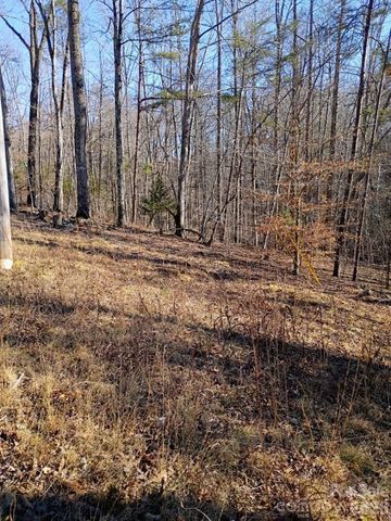 00 County Line Road S, Rutherfordton, NC 28139