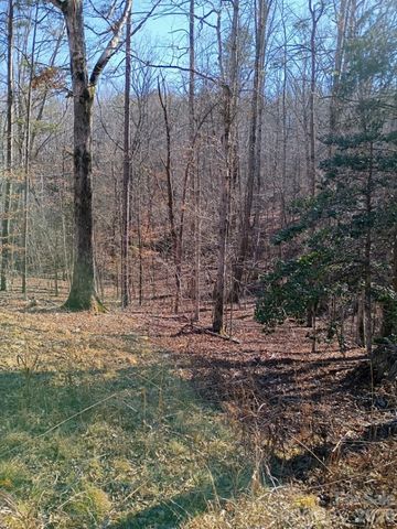 00 County Line Road S, Rutherfordton, NC 28139