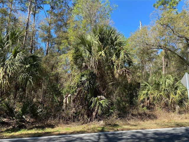 2519 W PLUMTREE LANE, Dunnellon, FL 34433