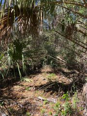2519 W PLUMTREE LANE, Dunnellon, FL 34433