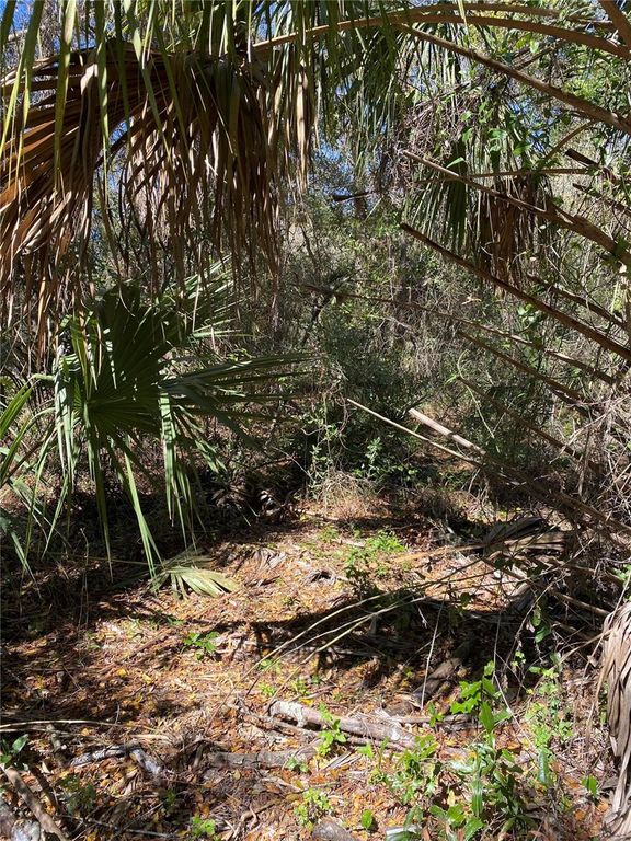 2519 W PLUMTREE LANE, Dunnellon, FL 34433