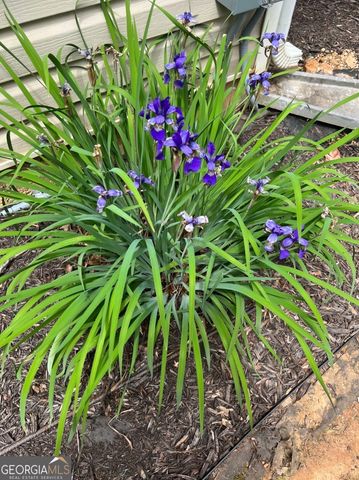 99 Georgias Lane, Dallas, GA 30157