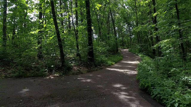 8272 Bainbridge Drive, Mattawan, MI 49071