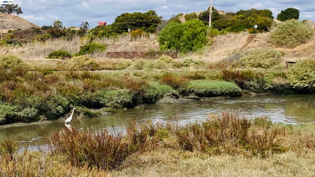 37221 Salt Pond Pl, Newark, CA 94560