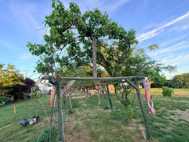 2578 Nicolaus Ave, East Nicolaus, CA 95659