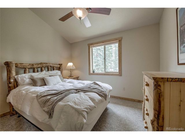 750 Miners Way, Fairplay, CO 80440