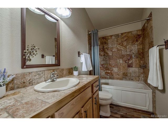 750 Miners Way, Fairplay, CO 80440