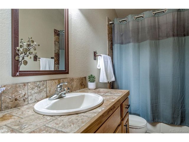 750 Miners Way, Fairplay, CO 80440