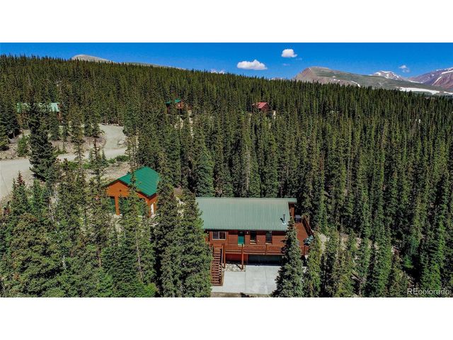 750 Miners Way, Fairplay, CO 80440