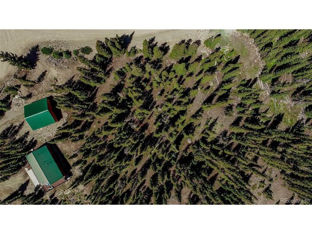 750 Miners Way, Fairplay, CO 80440