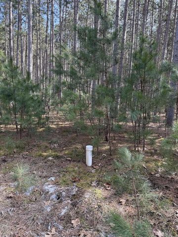 N10038 Pinecone COURT, Necedah, WI 54646