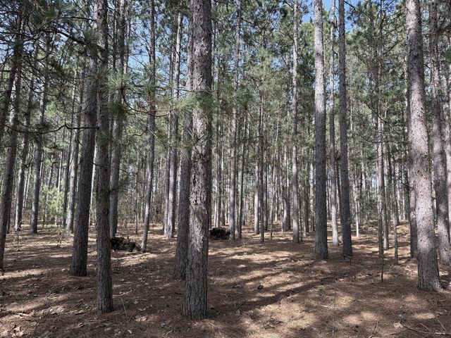 N10038 Pinecone COURT, Necedah, WI 54646