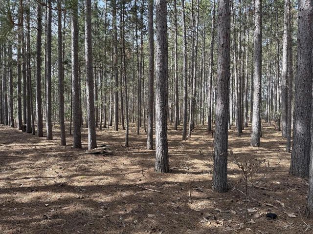 N10038 Pinecone COURT, Necedah, WI 54646