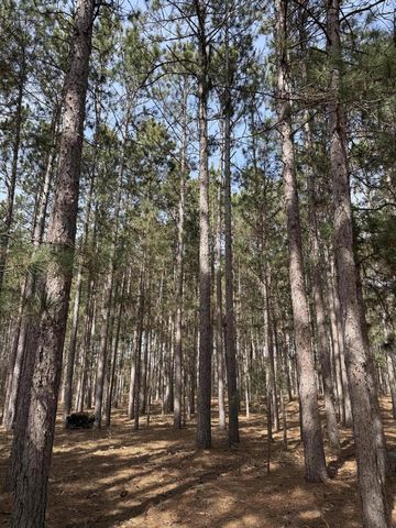 N10038 Pinecone COURT, Necedah, WI 54646