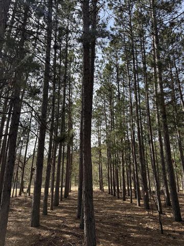 N10038 Pinecone COURT, Necedah, WI 54646
