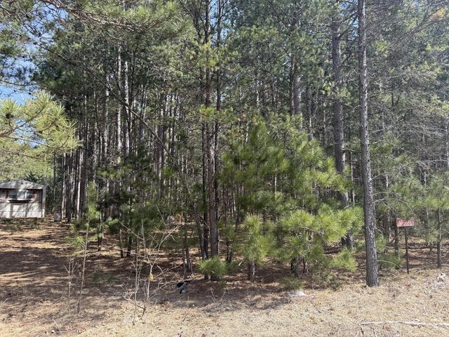 N10038 Pinecone COURT, Necedah, WI 54646