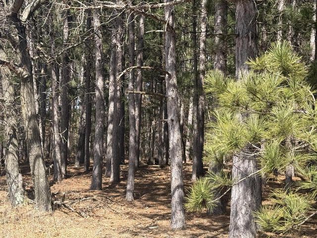 N10038 Pinecone COURT, Necedah, WI 54646