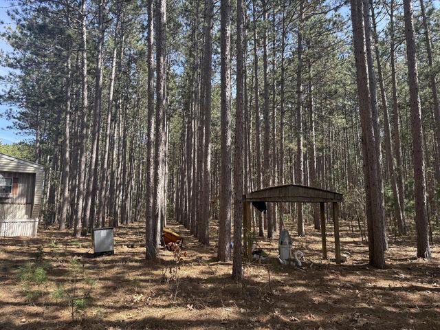 N10038 Pinecone COURT, Necedah, WI 54646