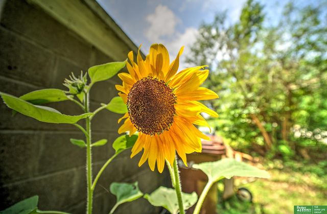 1210 Prairie Avenue, Bellevue, NE 68005