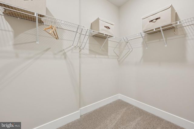 118 TRELLIS VIEW LN, Winchester, VA 22602