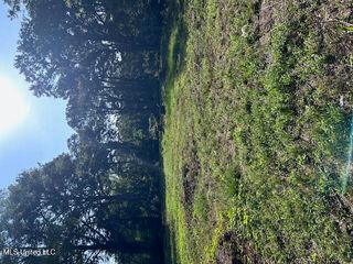 4528 Hanging Moss Road, Jackson, MS 39206