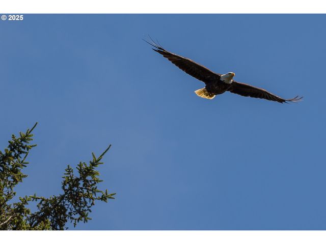 11779 Se WHITE TAIL Dr, Happy Valley, OR 97086