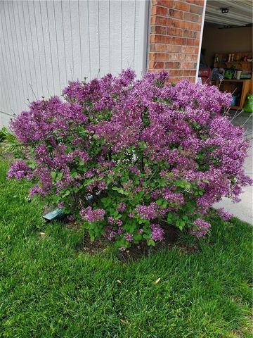 504 SW BOBCAT Street, Oak Grove, MO 64075