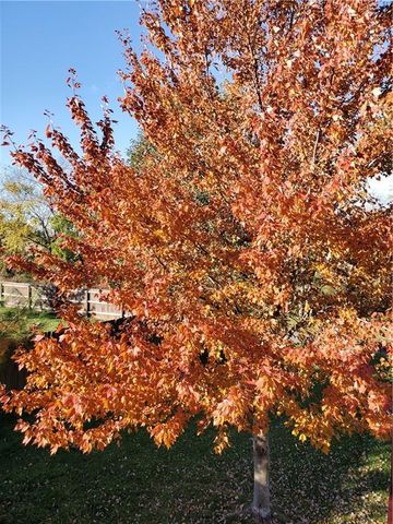 504 SW BOBCAT Street, Oak Grove, MO 64075