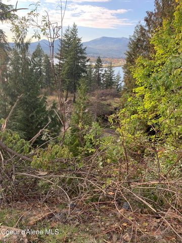 NKA LOT 9 Cheval Noir Ln, Sagle, ID 83860