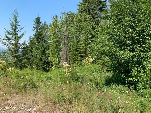 NKA LOT 9 Cheval Noir Ln, Sagle, ID 83860