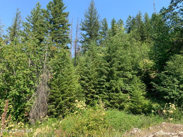 NKA LOT 9 Cheval Noir Ln, Sagle, ID 83860