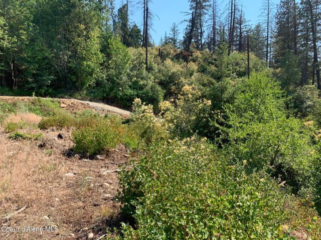NKA LOT 9 Cheval Noir Ln, Sagle, ID 83860