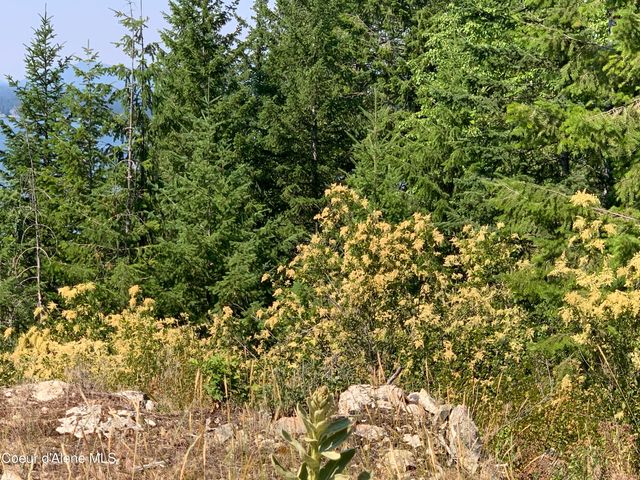 NKA LOT 9 Cheval Noir Ln, Sagle, ID 83860