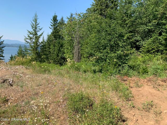 NKA LOT 9 Cheval Noir Ln, Sagle, ID 83860