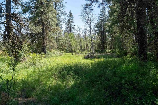 NKA W Anderson Rd, Cheney, WA 99004