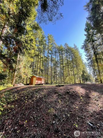 20 Oxbow Place, Hoodsport, WA 98548