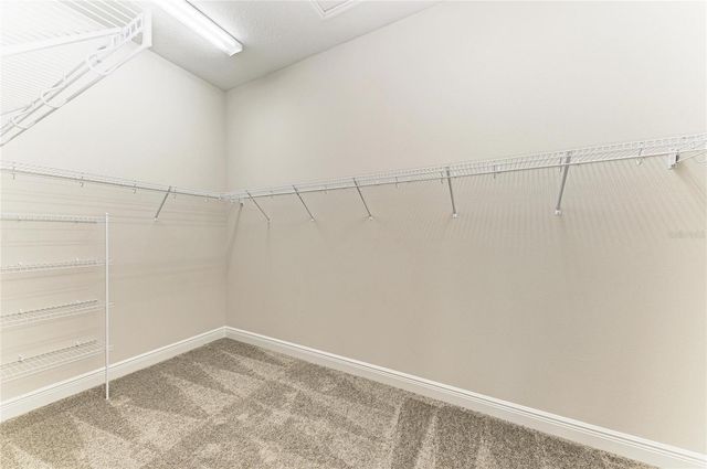 10904 SPRING SAPLING CIRCLE, Parrish, FL 34219