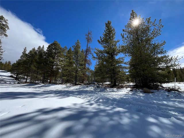 28 Juniper Drive, Twin Lakes, CO 81251