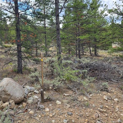 28 Juniper Drive, Twin Lakes, CO 81251
