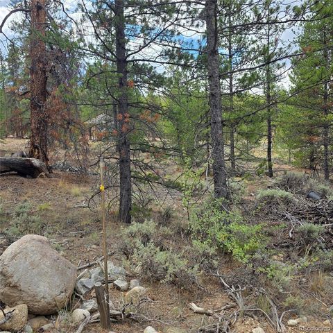 28 Juniper Drive, Twin Lakes, CO 81251
