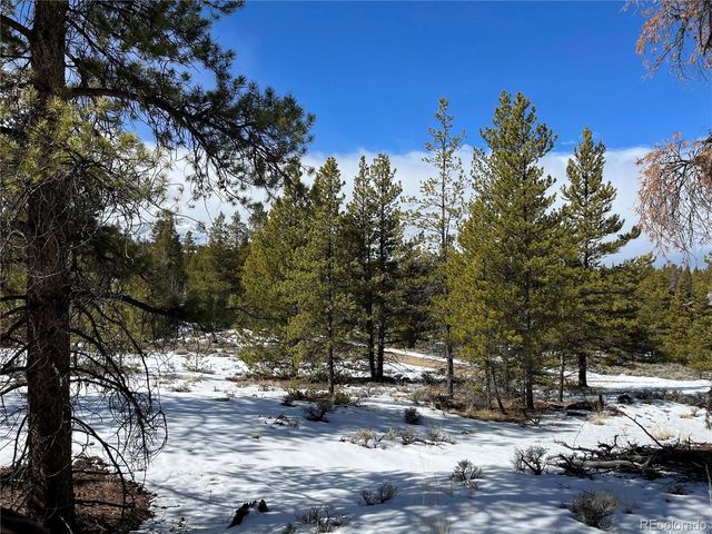 28 Juniper Drive, Twin Lakes, CO 81251