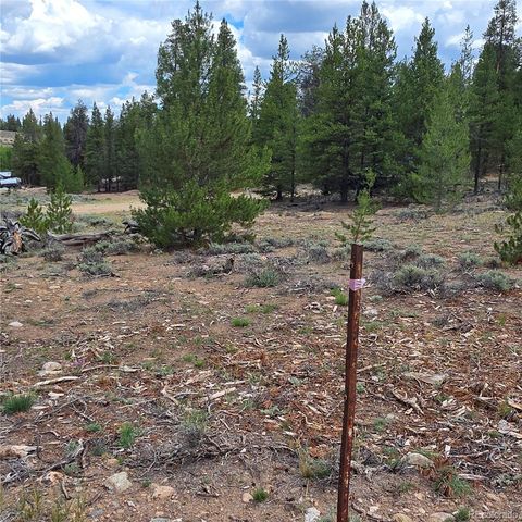 28 Juniper Drive, Twin Lakes, CO 81251