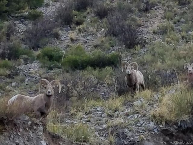 28 Juniper Drive, Twin Lakes, CO 81251